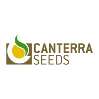CANTERRA SEEDS Logo