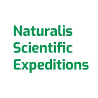 NSX Logo