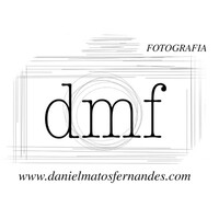 Daniel Matos Fernandes Logo