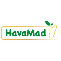 HavaMad Logo