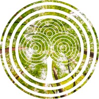 Radical Growth Solutions Logo