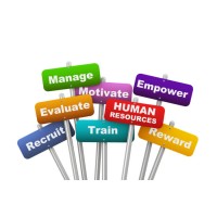 TheHighFly HR Services Logo