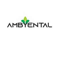 Ambyental Logo