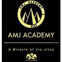 AMJ ACADEMY Logo