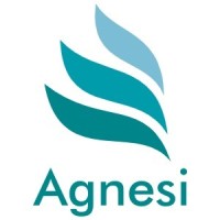 AGNESI SERVICES Logo
