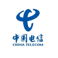 China Telecom (Africa and Middle East) Ltd Logo
