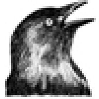 Vork Communicatie Logo