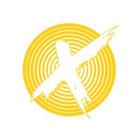 BIG X Logo