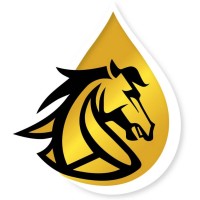 Arab Co. for Petroleum Industries Logo