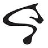 MUSTANG CAPITAL Logo