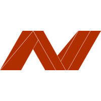 New Vision Agency Logo
