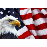 All American Air Logo