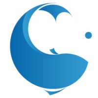 Big Fish Hunter Executive Search Logo