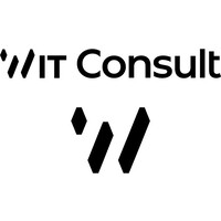 WIT Consult Logo