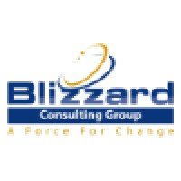 Blizzard Consulting Group LLC Logo