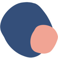 Paloma Health Logo