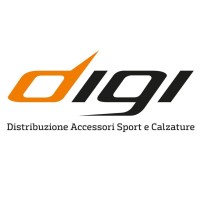 Digi Instruments srl Logo