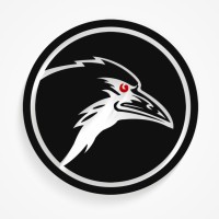 Raven Interactive Logo