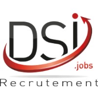 DSI.jobs Logo