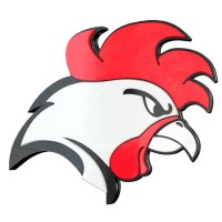Helsinki Roosters Logo