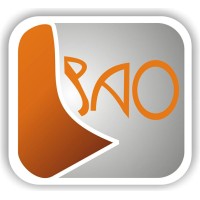 BAO Consultancy Services Limited Logo