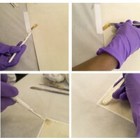 The Conservators Logo