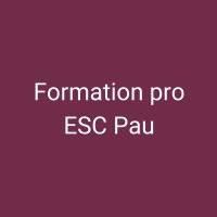 Formation professionnelle ESC Pau Business School Logo