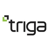 TRIGA DISPLAYS Logo