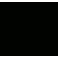 FSM Automation Logo