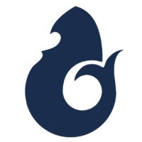 De Vries Maritiem Logo