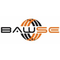 BAWSE Global Business Logo