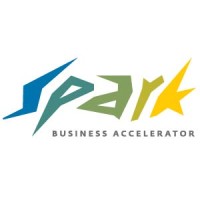 Spark • სპარკი Logo