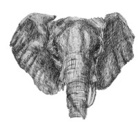 Legacy Group LLP Logo