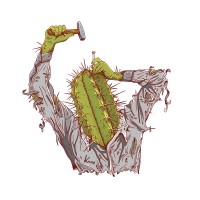 Kaan Illustration Logo