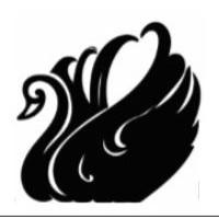 Black Swan Global Investments Logo