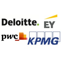 Big 4 Consultancy Firm Logo