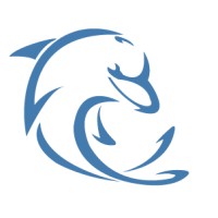 DOLFI formation Logo