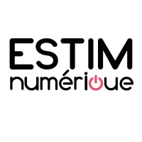 ESTIMnumérique Logo