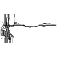 Chanikva Studio Logo