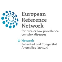ERNICA Logo