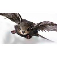 SHVV Global Logistics Logo