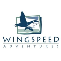 WingSpeed Adventures Logo