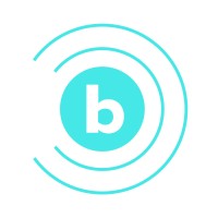 Ballyhoo Media & Marketing Logo