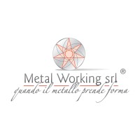 METAL WORKING S.r.l. Logo