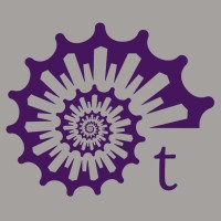 turricula risk advisory Logo