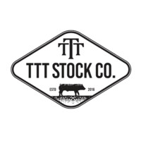 TTT Stock Company Ltd. Logo