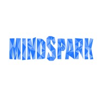 Mindspark LLC Logo