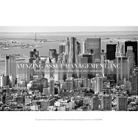 Amazing Asset Management, Inc. Logo