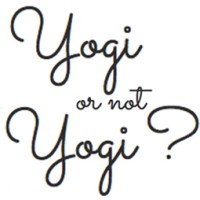 YOGI OR NOT YOGI Logo