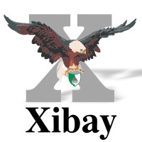 Xibay Group Logo